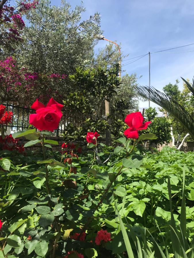 - Spacious Garden And Balcony 5 Min To & Center Ksamil