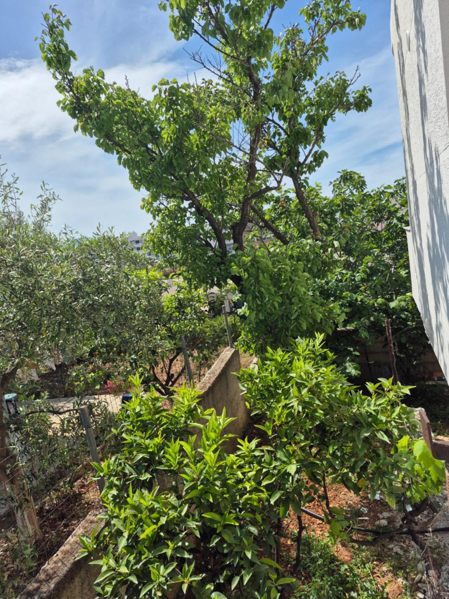 Apartamento - Spacious Garden And Balcony 5 Min To & Center