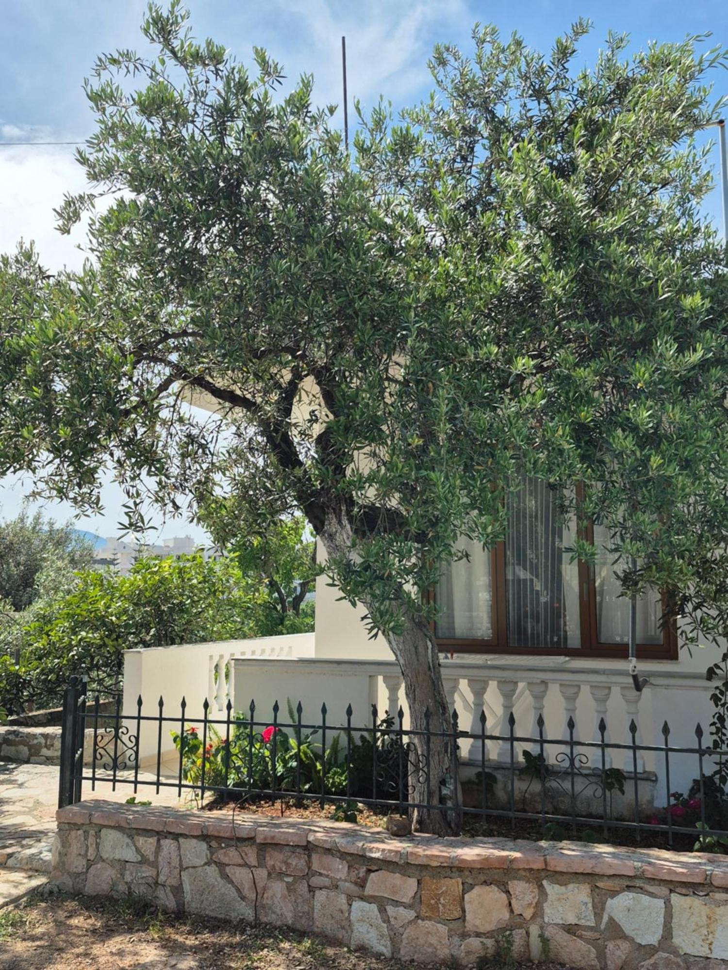 Apartamento - Spacious Garden And Balcony 5 Min To & Center Ksamil