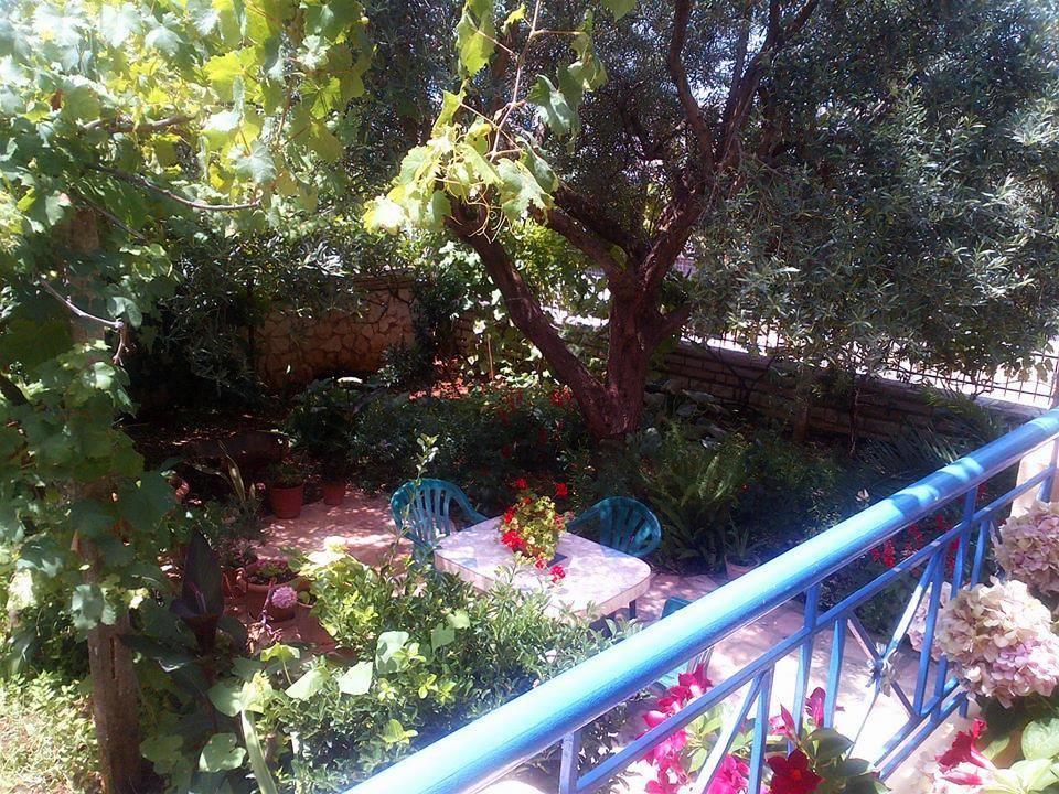 - Spacious Garden And Balcony 5 Min To & Center