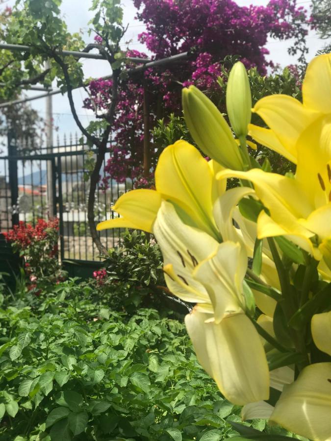 Vita Apartment - Spacious Garden And Balcony 5 Min To Beach & Center Appartement Ksamil