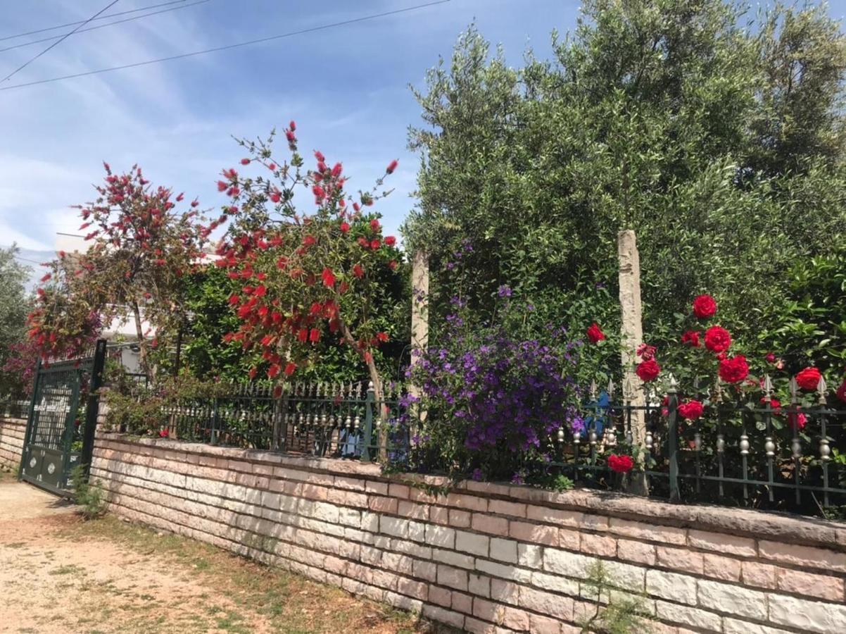 - Spacious Garden And Balcony 5 Min To & Center *