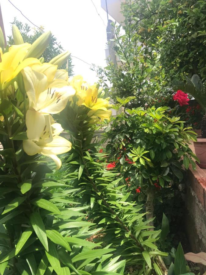 Vita Apartment - Spacious Garden And Balcony 5 Min To Beach & Center