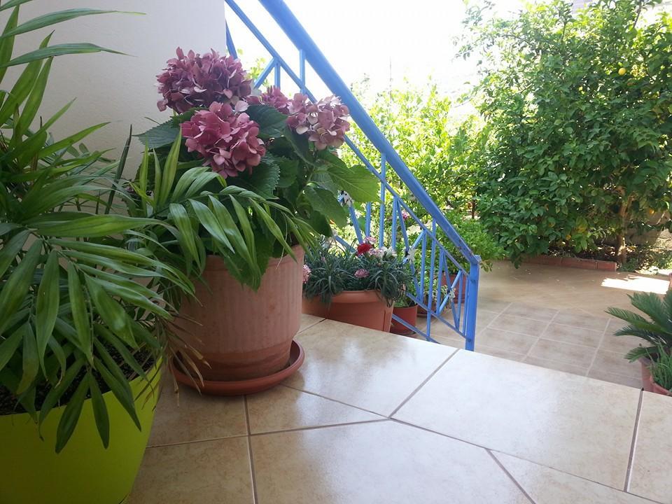 - Spacious Garden And Balcony 5 Min To & Center